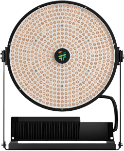 Спортивные объекты